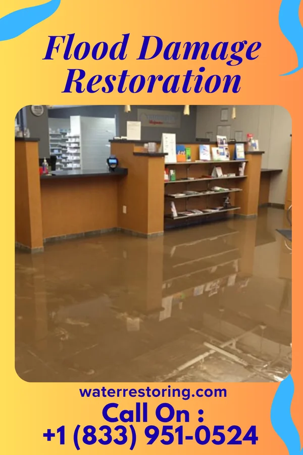 Flood Damage Restoration in Hardin, TX